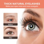 Castor Oil Supplier - MOOYAM 60ml Organic Private Label Vegan Keratin Eyelash