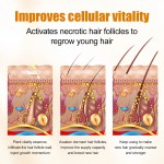 Hair Growth Oil Supplier - Organic Vegan Keratin Herbal Infused Scalp Peptides