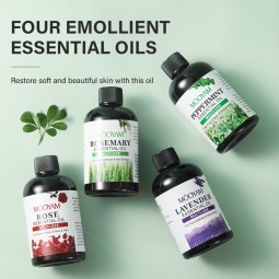 Essential Oils Supplier - Organic Bulk Lavender Peppermint Rosemary Rose Nourishing