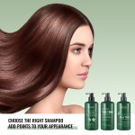 Shampoo Manufacturer - 500ml Vegan Tea Tree Scalp Relief Dandruff Prevention Hair