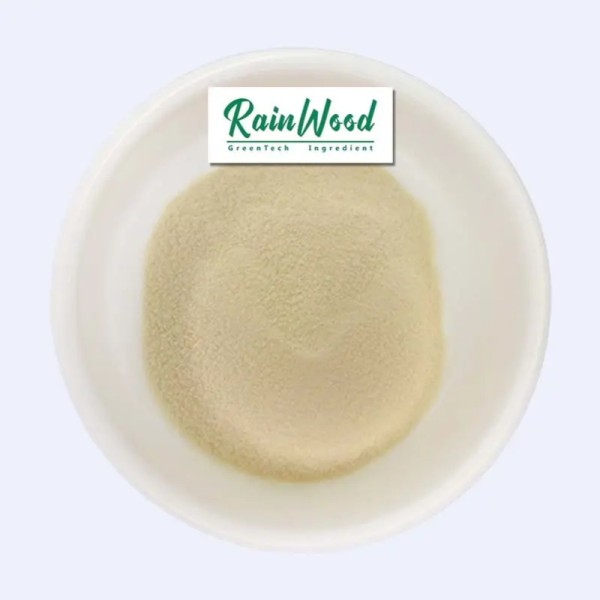 Pineapple Powder Factory - Bulk Fruit Powder Price Juice Powder