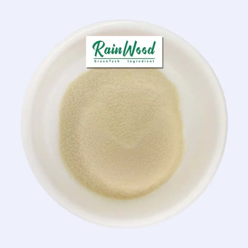 Pineapple Powder Factory - Bulk Fruit Powder Price Juice Powder