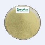 Sulforaphane Powder Factory - Bulk Organic Broccoli Extract 10% Powder