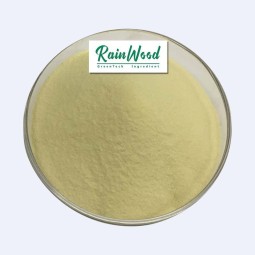 Sulforaphane Powder Factory - Bulk Organic Broccoli Extract 10% Powder