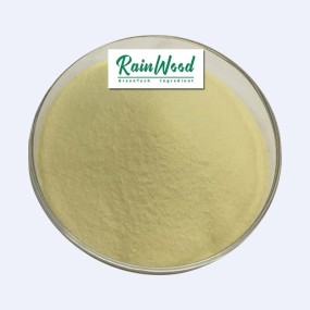 Sulforaphane Powder Factory - Bulk Organic Broccoli Extract 10% Powder