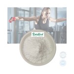 EAA Powder Supplier - Sport Nutrition Essential Amino Acid Powder