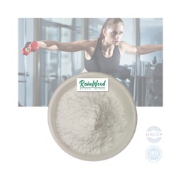 EAA Powder Supplier - Sport Nutrition Essential Amino Acid Powder