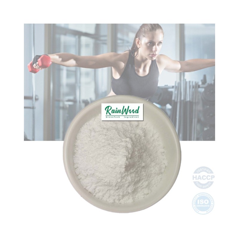 EAA Powder Supplier - Sport Nutrition Essential Amino Acid Powder