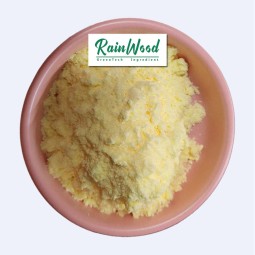 Pineapple Powder Supplier - Supplement Fresh Juice Extract Powder