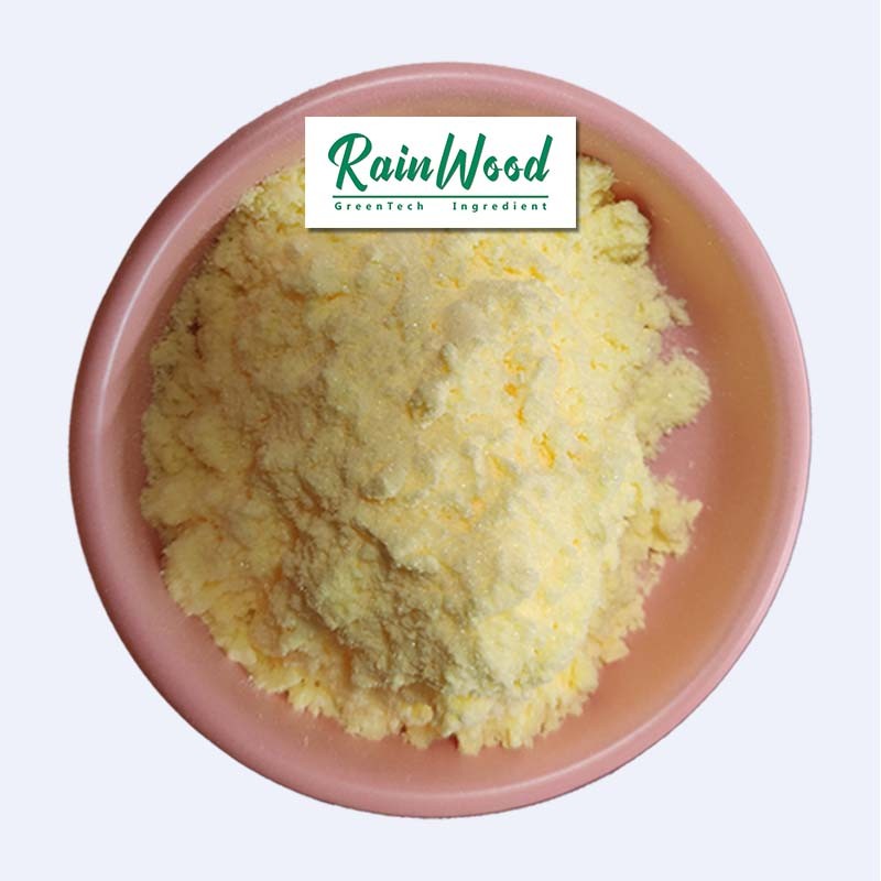 Pineapple Powder Supplier - Supplement Fresh Juice Extract Powder