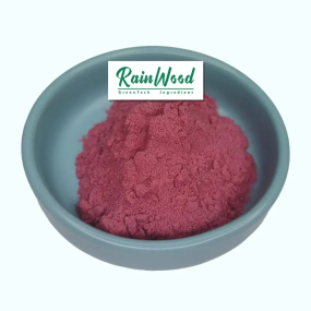 Acai Berry Powder Manufacturer - 100% Pure Freeze Dried Extract Powder