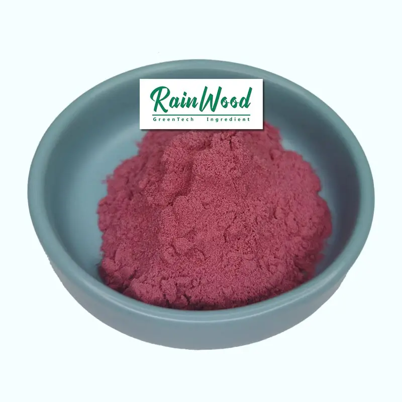Acai Berry Powder Manufacturer - 100% Pure Freeze Dried Extract Powder