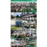 Acai Berry Powder Manufacturer - 100% Pure Freeze Dried Extract Powder