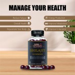 Shilajit Gummies Manufacturer - OEM Extract 3g Pure Supplement Gummies