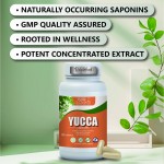 Yucca Capsules Supplier - Yucca Root Powder 60% Sarsaponin Extract
