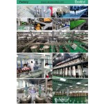 Ectoin Powder Factory - Supply Good Price Cosmetic Raw Material