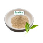 Tea Saponin Powder Manufacturer - Natural Pure Wholesale 90% Saponin