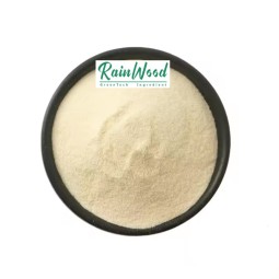 Pineapple Powder Supplier - Freeze Dried Organic Fruit Powder