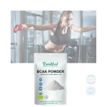 BCAA Powder Factory - Private Label Pre Workout 2:1:1 Powder