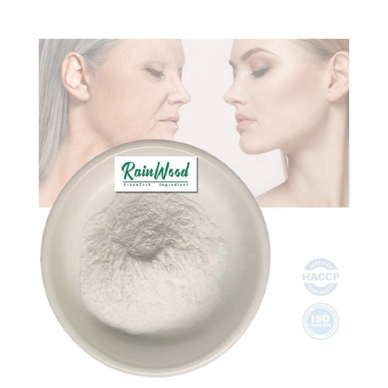 NMN Powder Manufacturer - Hot Sell 99% Beta-Nicotinamide Mononucleotide