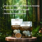 Lions Mane Powder Manufacturer - Private Label 10:1 Mushroom Extract