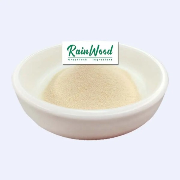 Pineapple Juice Powder Manufacturer - Spray Dried Powder Juice Powder