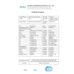 Lions Mane Powder Manufacturer - High Quality Organic Hericium Extract