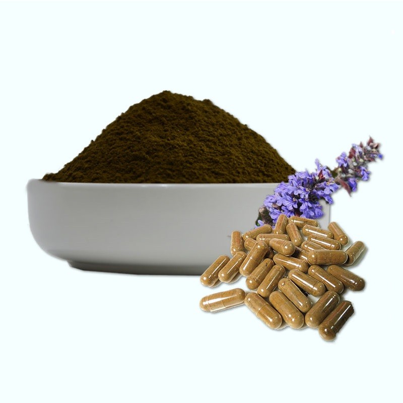 Turkesterone Powder Supplier - Low Price Ajuga Extract 2% 10% Powder