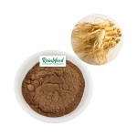 Ginseng Extract Manufacturer - Factory Supply High Quality Panax Root