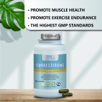 Turkesterone Capsules Supplier - OEM Hot Sale High-quality Capsules