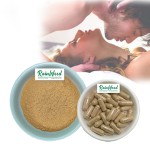 Tongkat Ali Powder Supplier - OEM Food Grade Extract Supplement