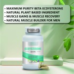 Ecdysterone Capsules Factory - Private Label Herbal 500MG Supplement