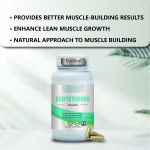 Ecdysterone Capsules Factory - Private Label Herbal 500MG Supplement