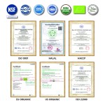 Oyster Maca Tablets Manufacturer - OEM Custom Formula Maca Supplements