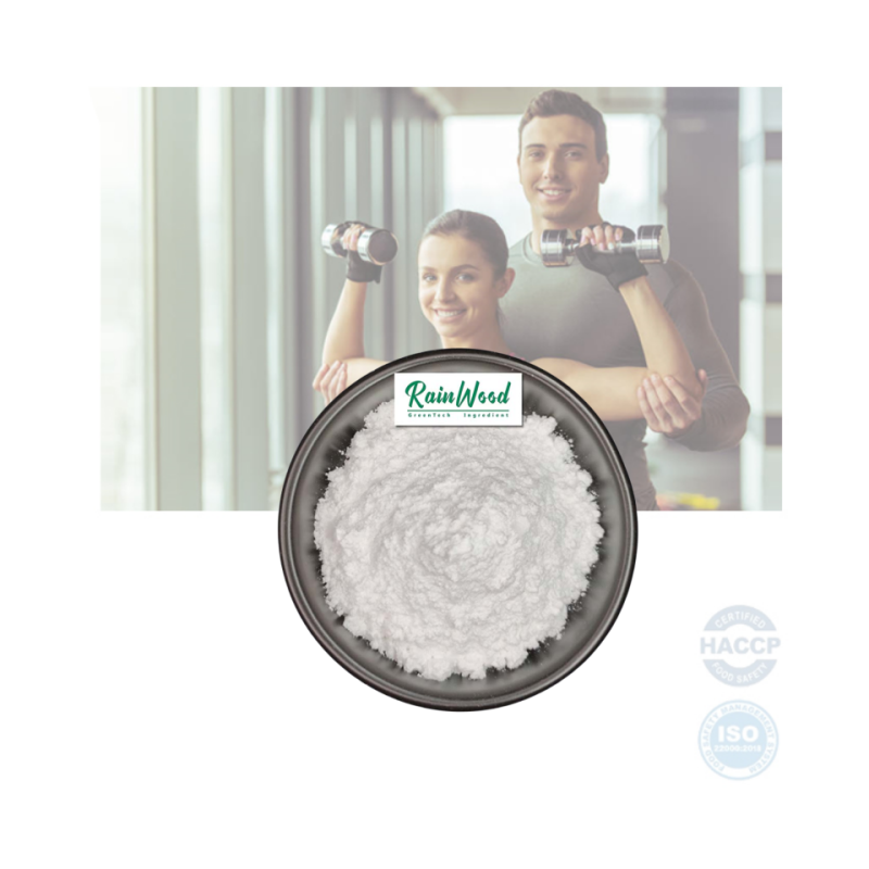 BCAA Powder Manufacturer - OEM Daily Energy Nutrition Protein