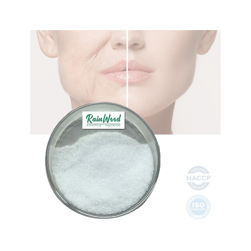 GABA Powder Manufacturer - Gamma-aminobutyric Acid Food Grade Supplement