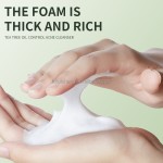 Facial Cleanser Manufacturer - 300ml Organic Hyaluronic Acid Salicylic Acid Tee Tree