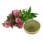 Red Clover Leaf Powder Manufacturer - Supply High Quality Free Sample Best Price Red Clover Extract Powder