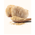 Lion's Mane Mushroom Powder Manufacturer - Supply High Quality Free Sample Best Price Lion's Mane Mushroom Extract