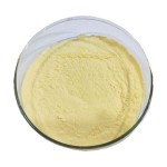 Mung Bean Protein Isolate Manufacturer - Professional Production Organic Healthy Plant Protein Powder
