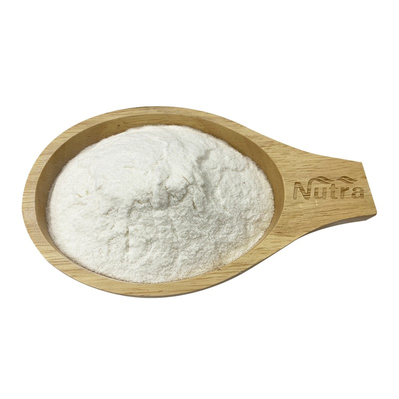 Almond Powder Manufacturer - High Quality Instant Almond Milk Powder Supply