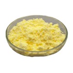 Alpha Lipoic Acid Powder Manufacturer - Free Sample Available for Wholesale Supply
