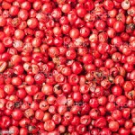 Organic Pink Peppercorn Manufacturer - High Quality Fragrant Sun-dried for Food and Drinks Supply