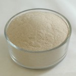 Organic Psyllium Husk Powder Manufacturer - Best Price Psyllium Seed Husk Powder Supply