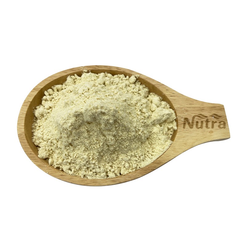 Oat Powder Manufacturer - Wholesale Nutritious Oat Milk Powder for Vegan