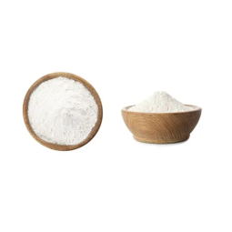 Probiotics Powder Manufacturer - Free Sample Available Best Price for Wholesale Supply