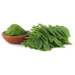Organic Moringa Powder Manufacturer - 99.999% Pure Factory Supply High Quality Moringa Oleifera Powder