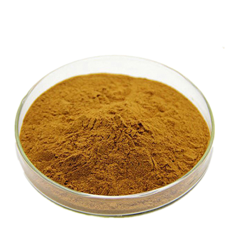 Tempeh Extract Powder Manufacturer - Food Grade Powder for Health Care Supply