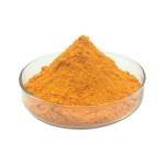 Cynomorium Extract Powder Manufacturer - Natural Chinese Herb Medicine Cynomorium Songaricum Rupr Powder Supply