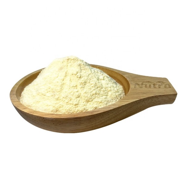Organic Pea Protein Manufacturer - Wholesale Ideal Vegan Plant Protein for Nutrition Supplement